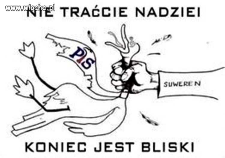 Damy radę
