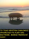 Taka sytuacja