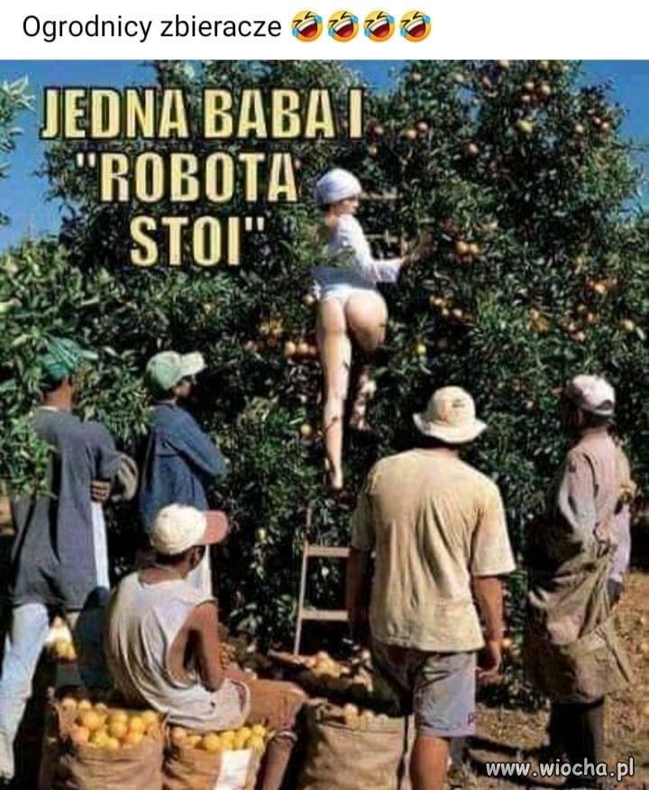 Dupa nie lokomotywa