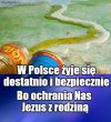 Czujecie się bogato i bezpiecznie?