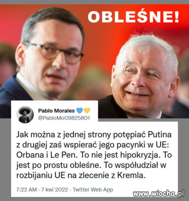 Obleśne
