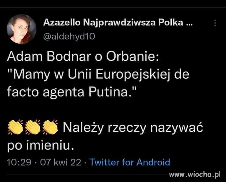 Agent Putina 