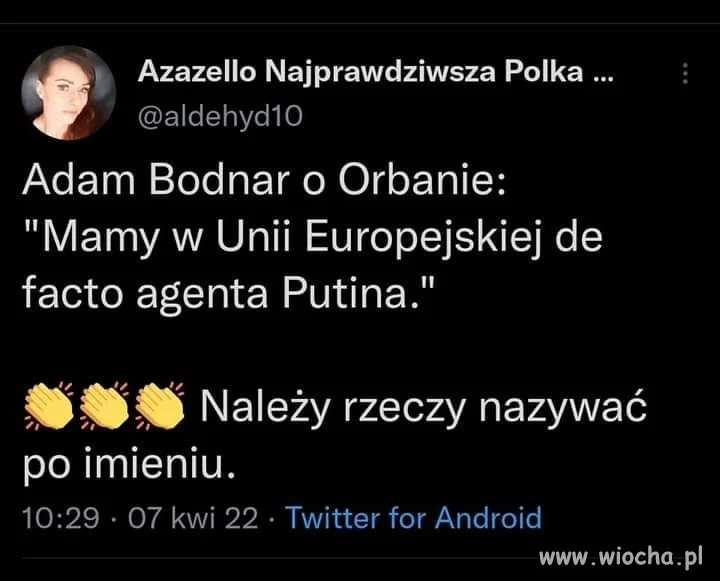 Agent Putina 