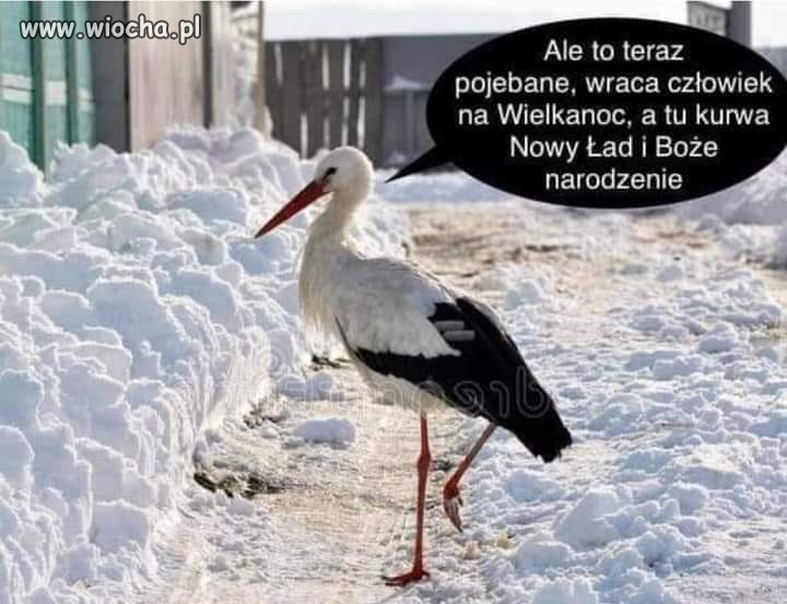 Tak jest