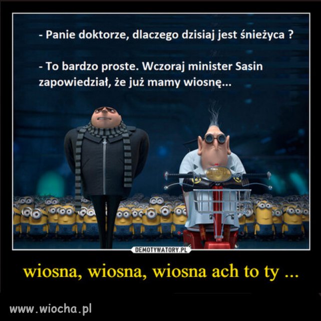Na Sasinie zawsze mozna polegac...