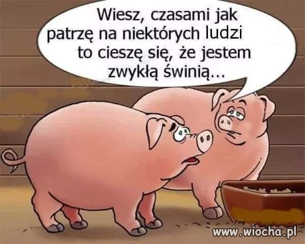 Jakie to prawdziwe