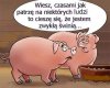Jakie to prawdziwe