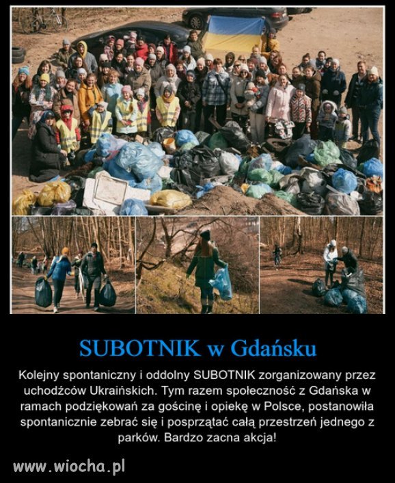 Konfederosja:  Grabią polską ziemię! 