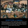 Konfederosja:  Grabią polską ziemię! 