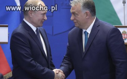 Attila z goc. dosłownie „Mały ojciec”, „Ojczulek