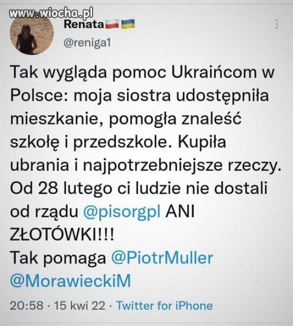 Zakłamane pisowskie ..uje