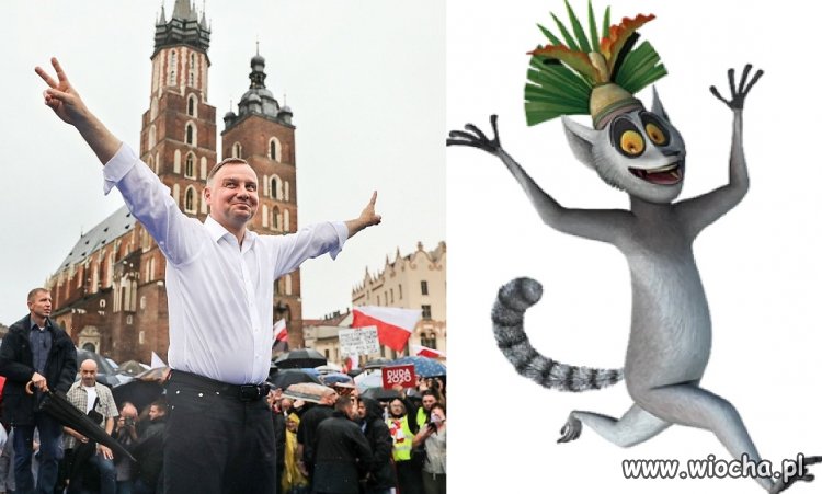 Skojarzenie