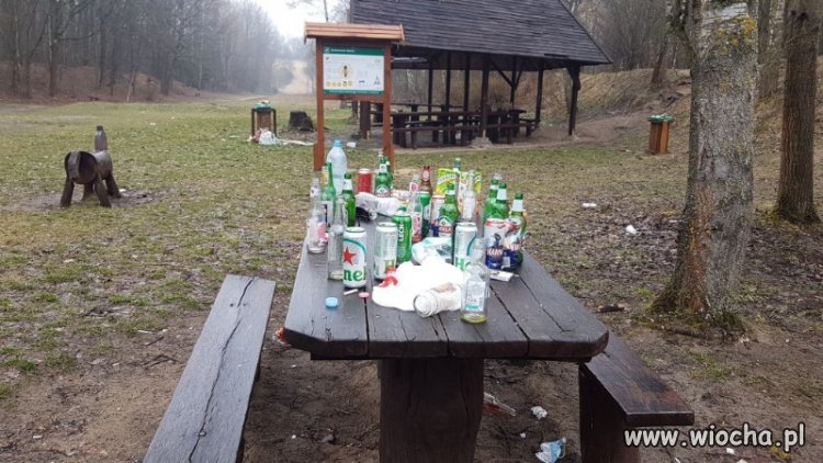 I mówicie, że zwierzęta śmiecą???