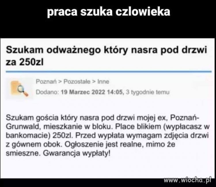 Praca szuka człowieka 