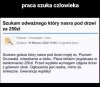 Praca szuka człowieka 