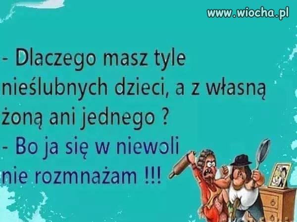 Pamiętajcie kobiety - Faceci w niewoli 
