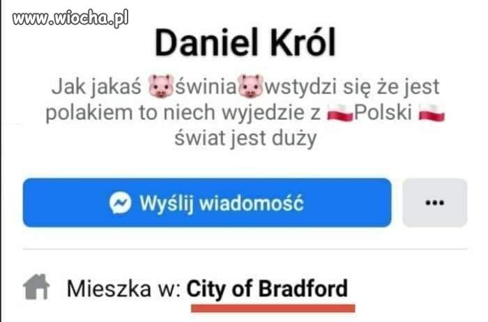 Świnia