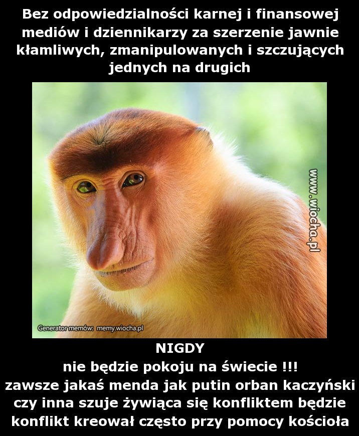 Bez odpowiedzialności karnej i finansowej mediów i