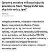 Kacapy
