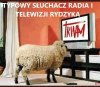 Słuchacz i wyborca pis
