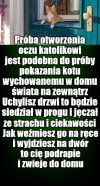 Kociarze wiedzą o co chodzi