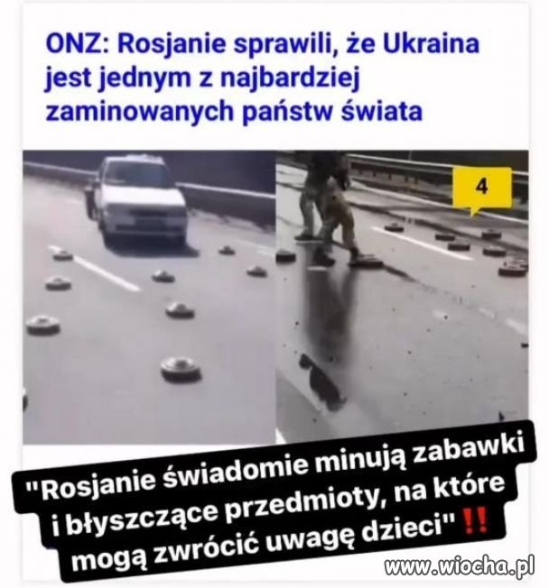 Zwierzyniec cd