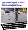 Zwierzyniec cd