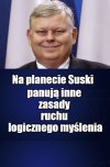 Stańczyk ze Złodziejskiego Dworu