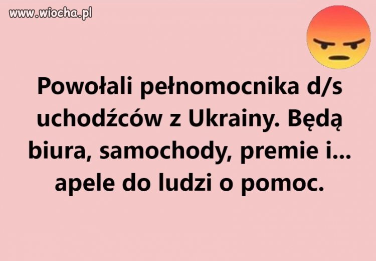 Rządowe działania w sprawie uchodźców