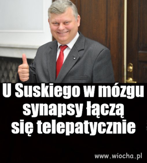 Stańczyk ze Złodziejskiego Dworu
