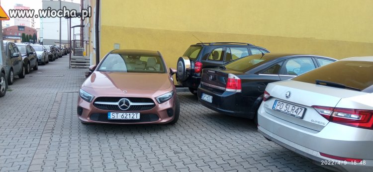 Miszcz parkowania
