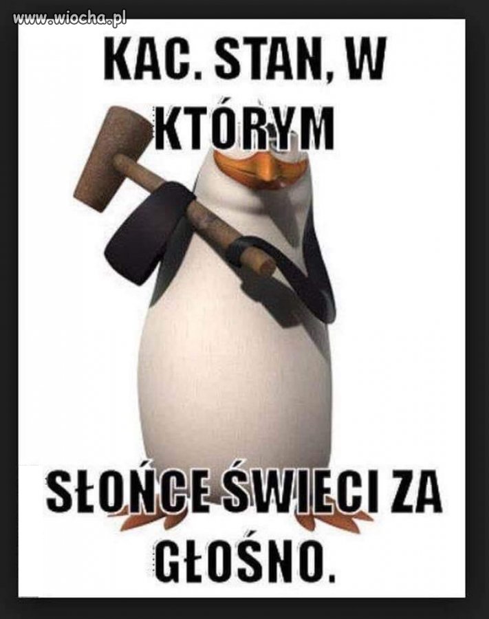 Niestety