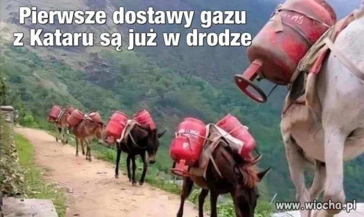 Nowe dostawy gazu