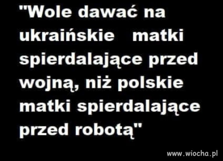 Zabrać polskiej patoli 500+ wszystkie świ