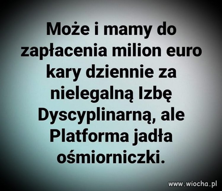 Wszystko wina Tuska 