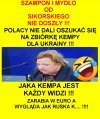 Nie obrażajcie reprezentantki PiSu w Europie...