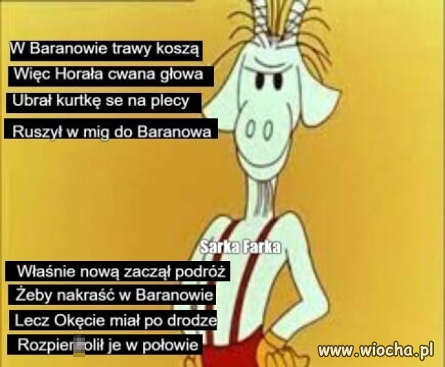 Matołek