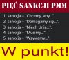 Pięć sankcji Vatousza