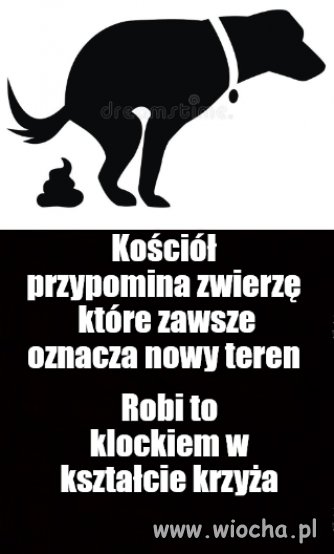Czas zacząć sprzątać po naszym pupilu
