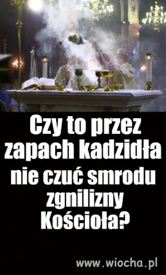 Kolega pytał