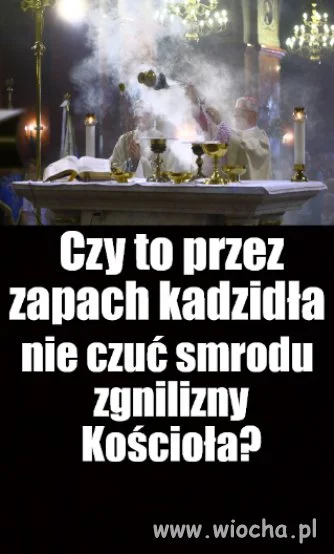 Kolega pytał
