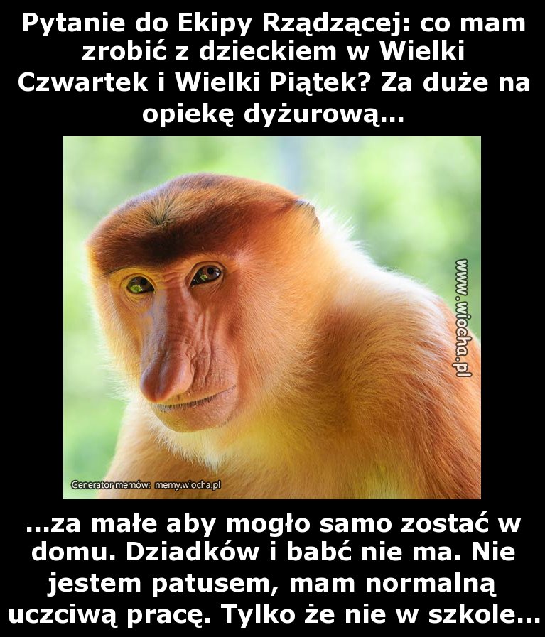 Pytanie do Ekipy Rządzącej: co mam zrobić z