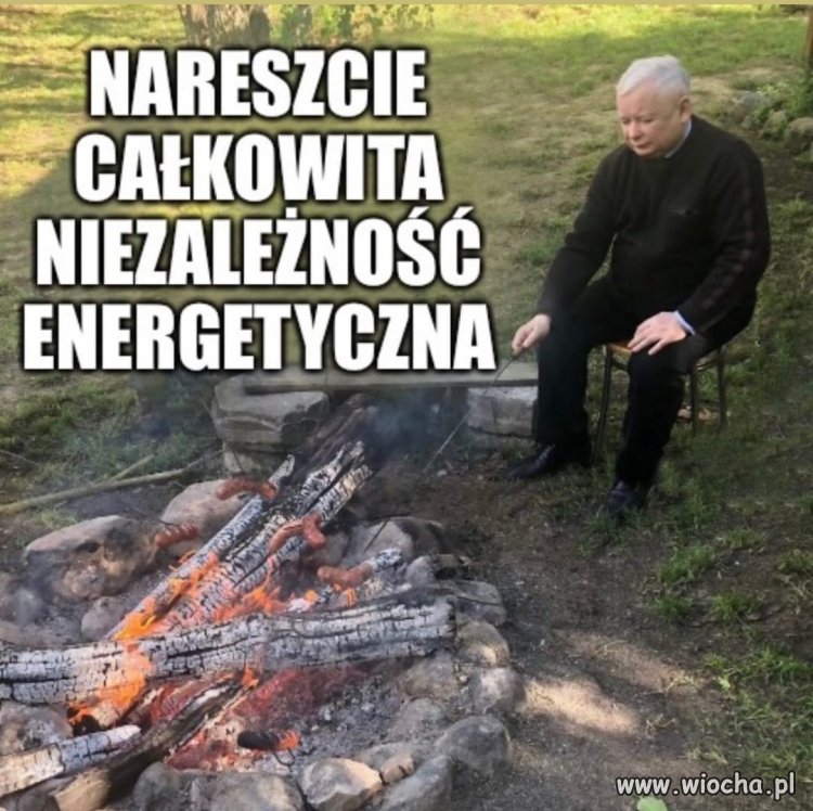 Nie pali ruskiego gazu tylko brzozę, tę brzozę