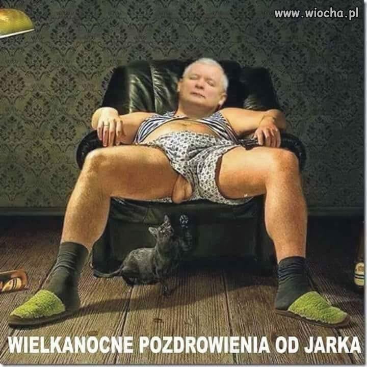 Pozdrowienia