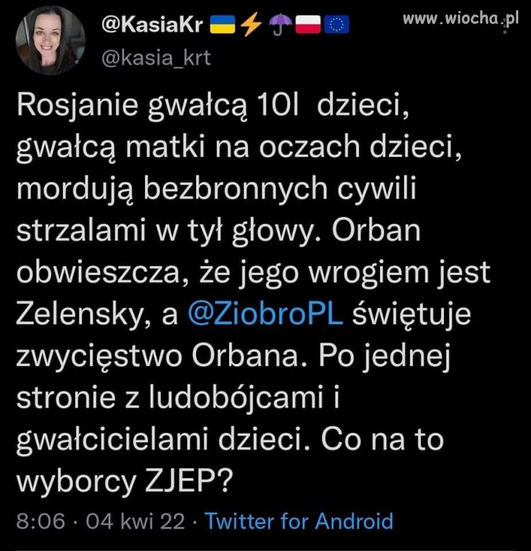 Bydło, nie ludzie 