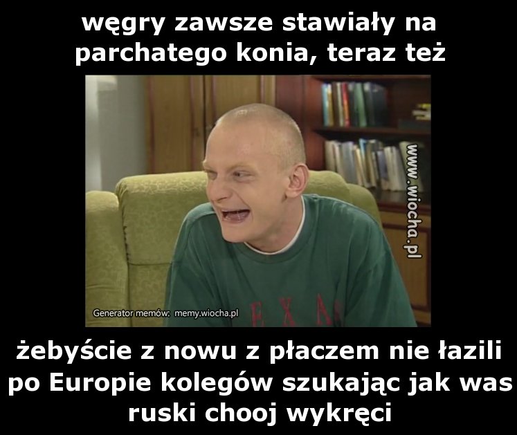  węgry zawsze stawiały na parchatego konia, teraz