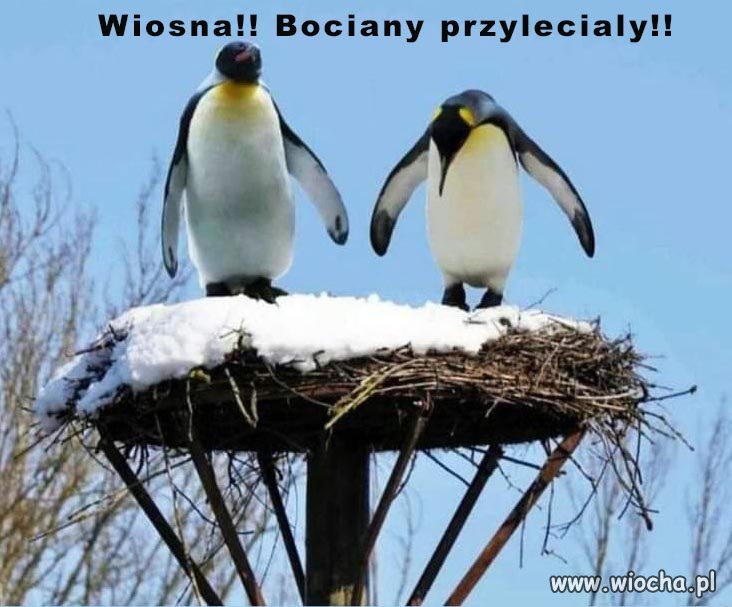 Wiosna