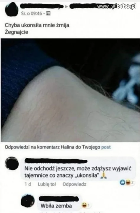 Ukonszenie