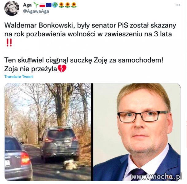 Za znęcanie się nad zwierzęciem 