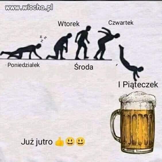 Cały tydzień haru-haru